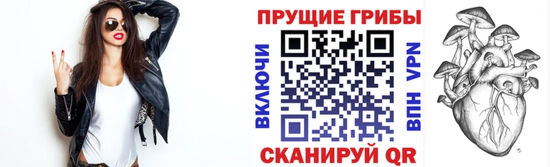 Псилоцибиновые грибы Magic Shrooms Торжок