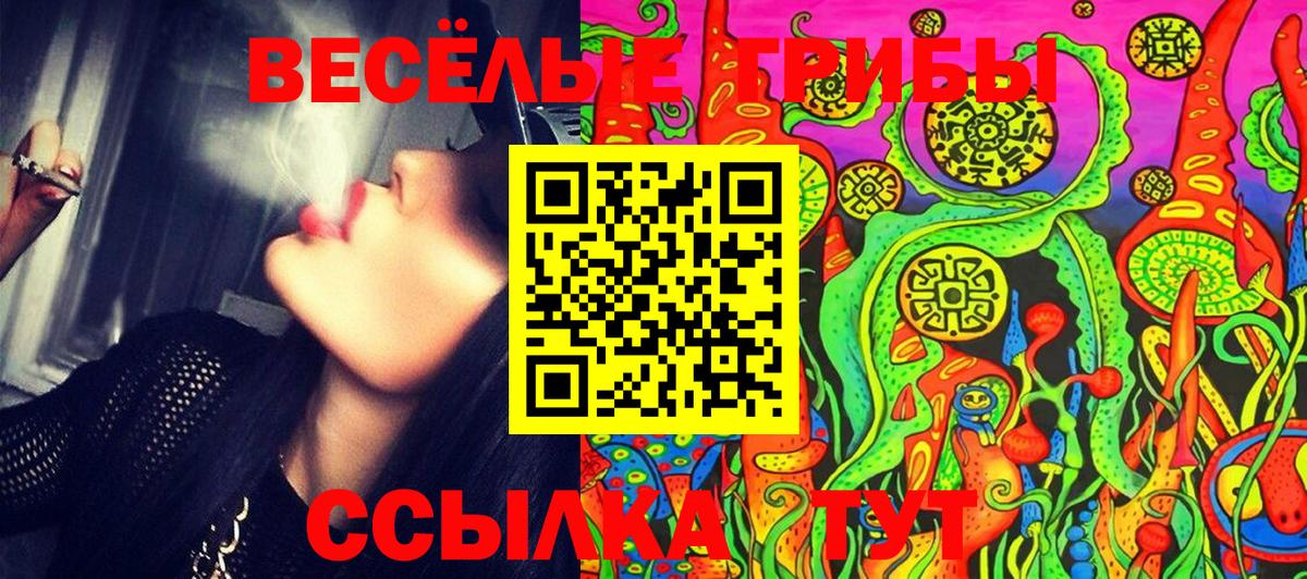 Галлюциногенные грибы Psilocybe Торжок
