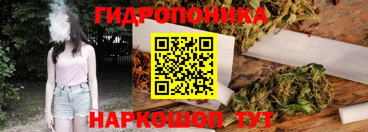 Конопля индика Торжок